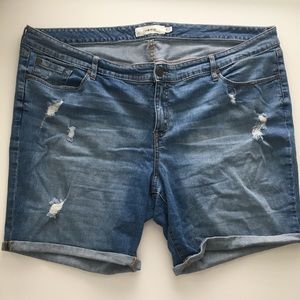 Torrid Mid Shorts Distressed Light Wash